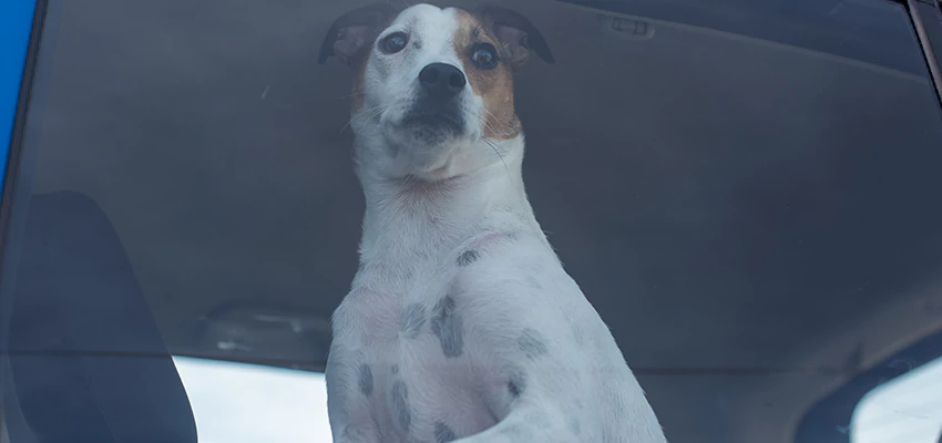 Car Lockout Solutions in Interlaken, California